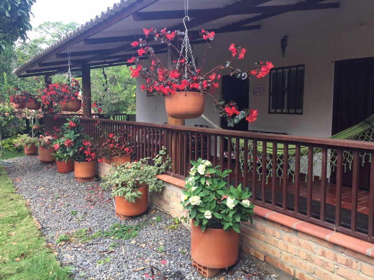 Finca Sol Y Luna San Gil Exteriér fotografie